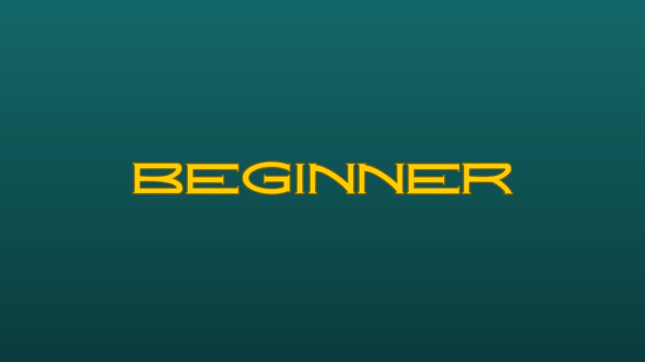 BEGINNER